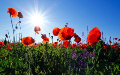 ANZAC DAY – Remembering 102 years: 25 April 2023